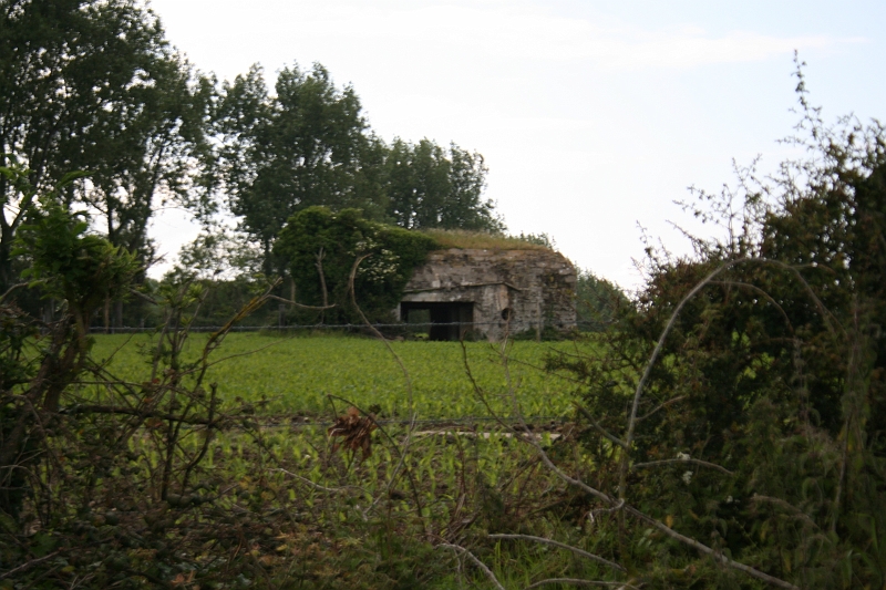 normandia 1352